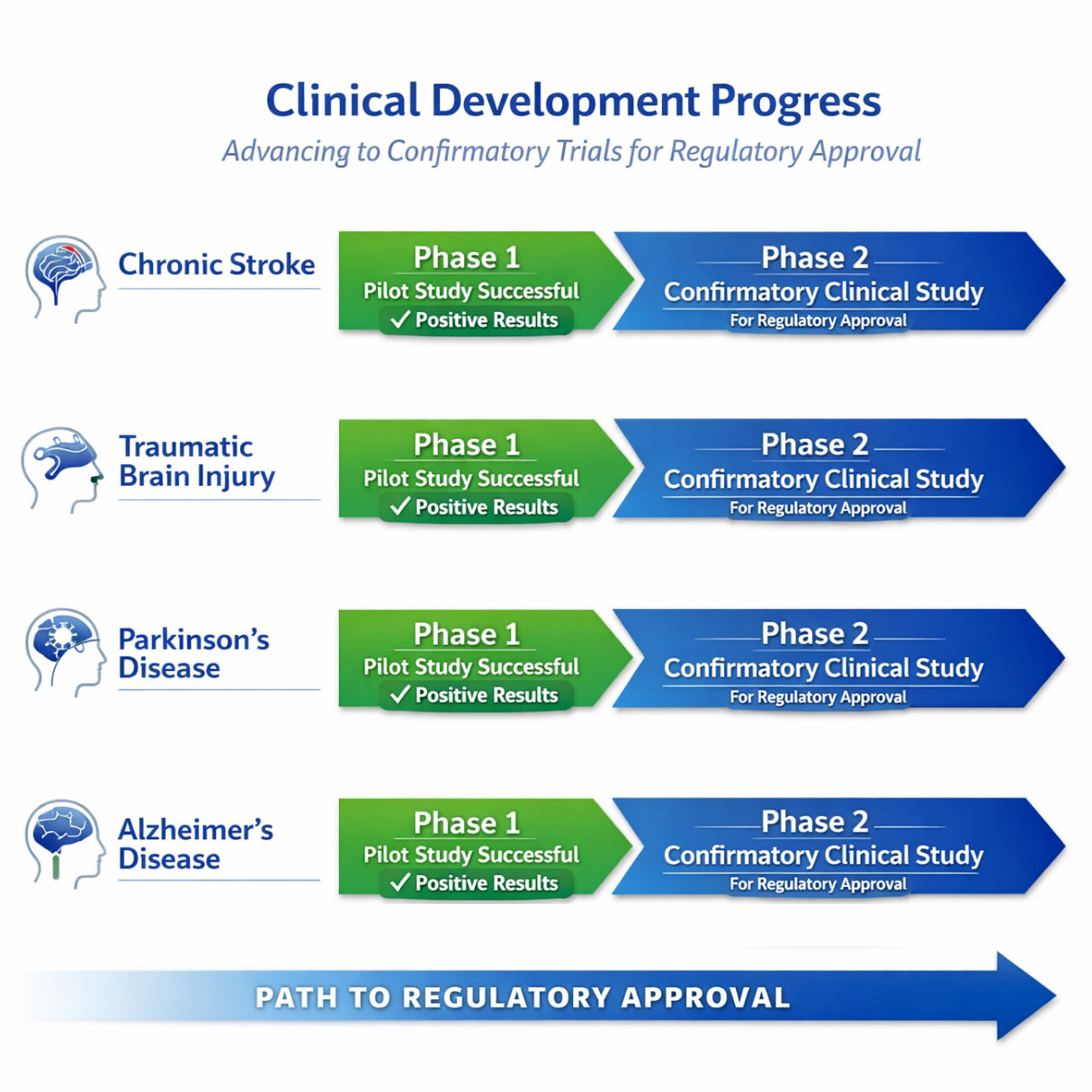 clinical_development_progress2